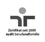 audit beruf und familie